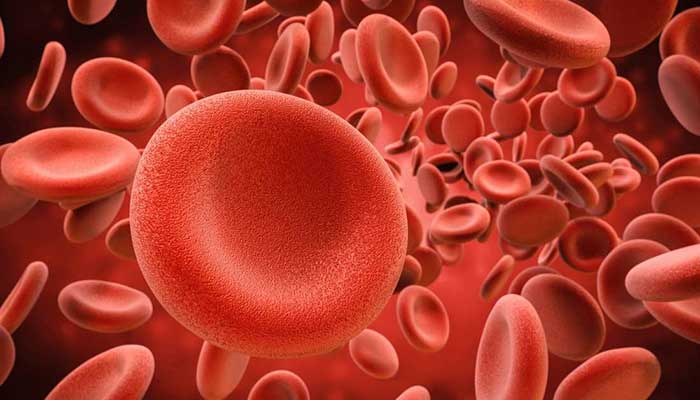 ادغام سلول ها با یکدیگر در جهت ارتقا تولید سلول های بنیادی خونساز