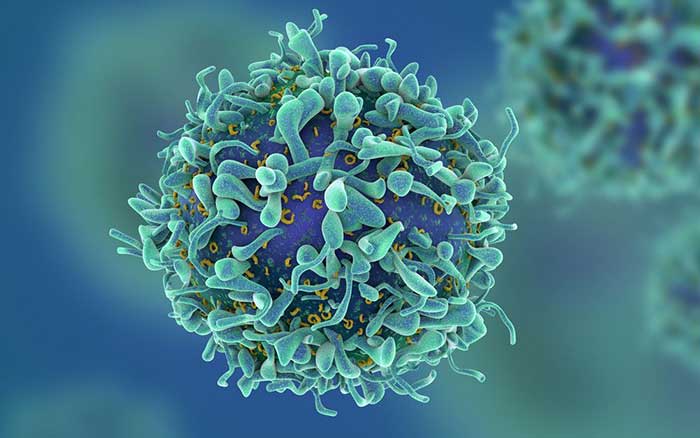 ارائه روشی موثرتر برای جداسازی و شناسایی سلول های T نادر