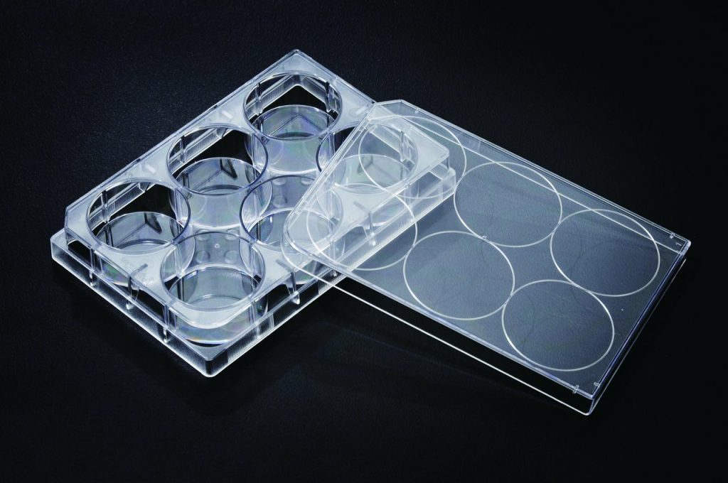 Cell Culture Plate 6well,Treated,Sterilized ایده زیست نوترکیب