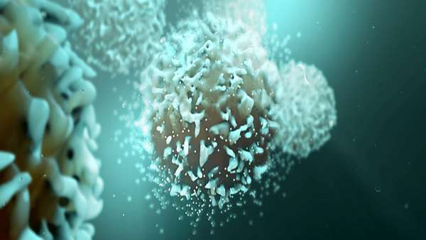 اثربخشی درمان CAR-T می تواند با حضور سلول های T حافظه سلول های بنیادی نشان داده شود