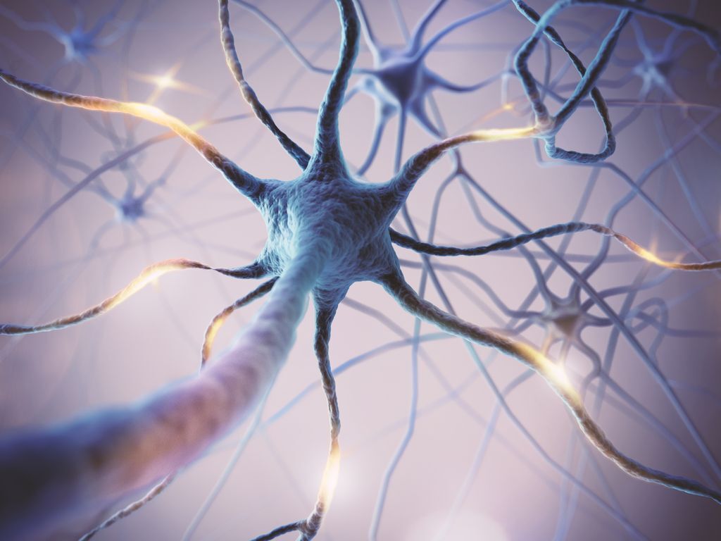 یافته محققان در زمینه حفاظت از سلول های عصبی