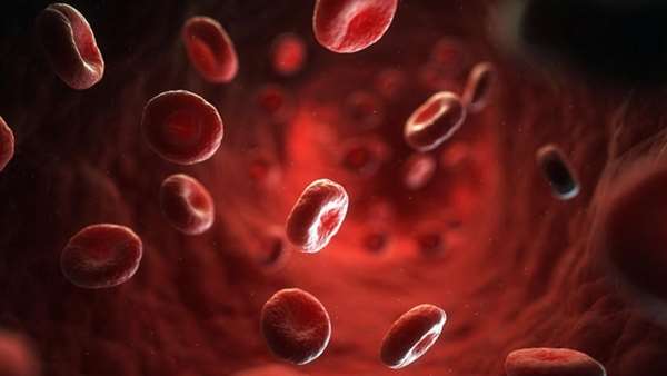 کمک به درمان برخی اختلالات خونی با افزایش تولید هموگلوبولین بواسطه ژن درمانی