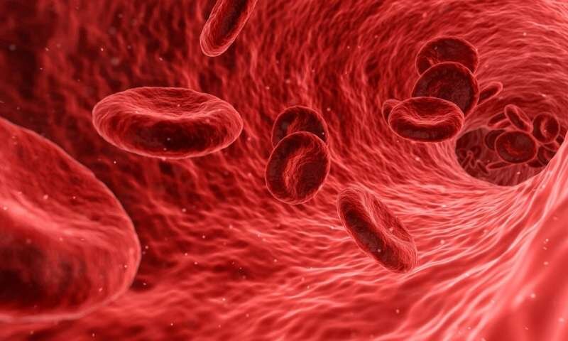 کشف یک سیستم پیام رسانی جدید در بازسازی خون