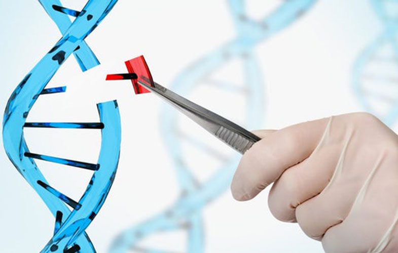 کاهش کلسترول اینبار به کمک فناوری ویرایش ژن