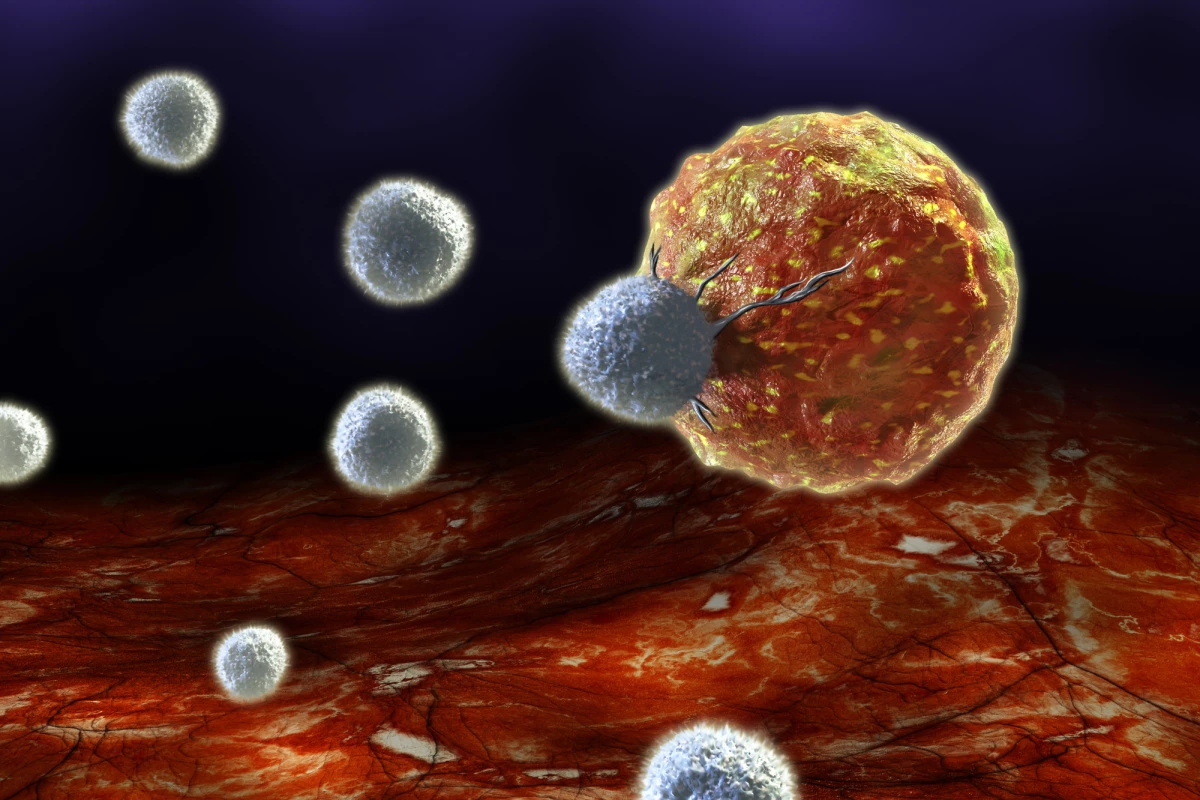 جوان سازی سلول‌های بنیادی با هدف مقابله با سرطان