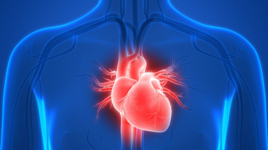 ترمیم قلب موش به وضعیت نزدیک به نرمال پس از حمله قلبی به وسیله درمان ‏mRNA‏  ‏