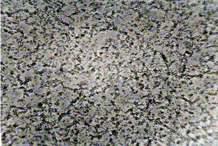 شکل 3-1 تصوير ميکروسکوپ نوری محيط کشت آلوده به باکتری. نقاط تيره در محيط کشت نشان¬دهندة آلودگی است.