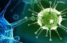 دانشمندان دریافتند که سلول های ریه چگونه پاسخ ایمنی به آنفولانزا را القا می کنند