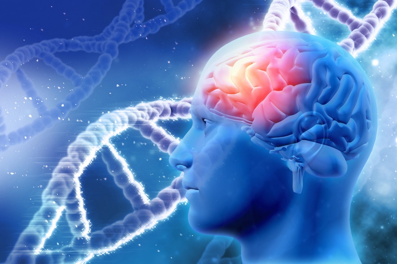 ارتباط ژن ها و مدارهای مغز در اختلالات اضطرابی