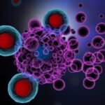 شناسایی مکانیسم مولکولی جدیدی جهت افزایش پاسخ به ایمنی درمانی سرطان و فردمحور کردن درمان