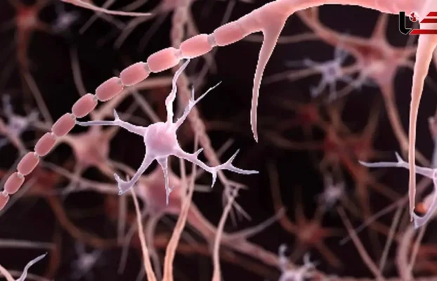 جهش نادری که از سلول‌های ایمنی مغز در برابر بیماری آلزایمر محافظت می‌کند