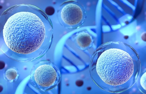 شناسایی نقش بیش از 250 lncRNA در تنظیم پرتوانی سلول های بنیادی